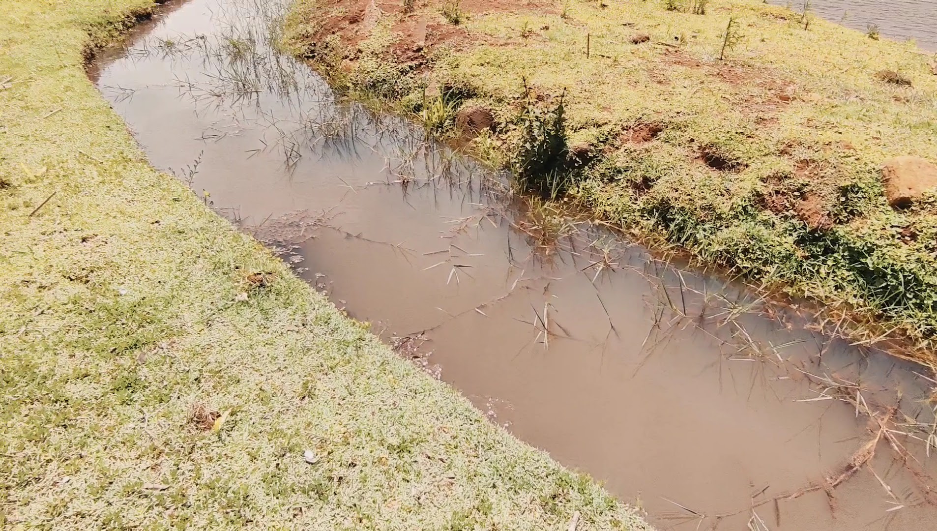 Pousada Parque das Gabirobas - Image 2