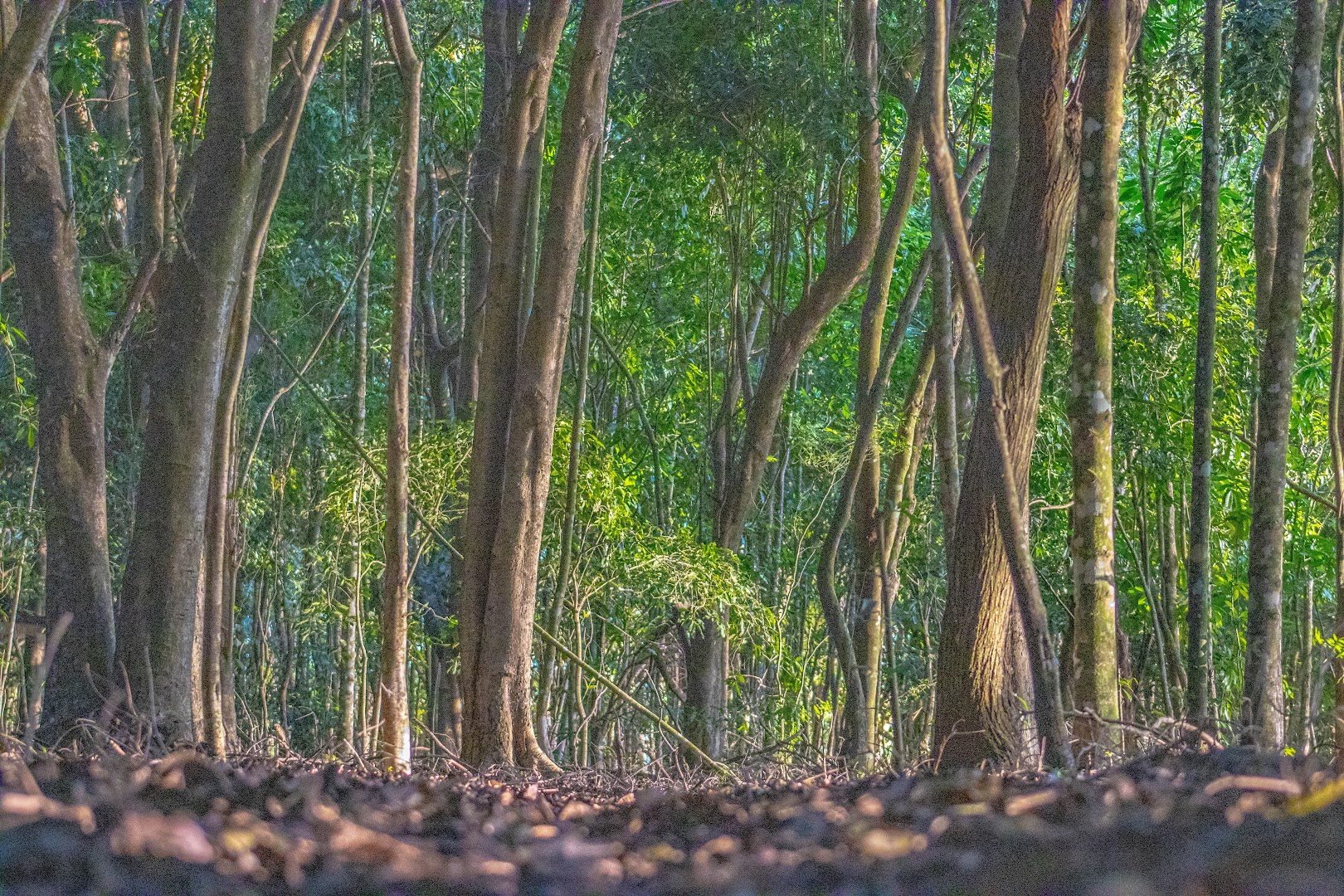 Balneário Vila Natal - Image 5