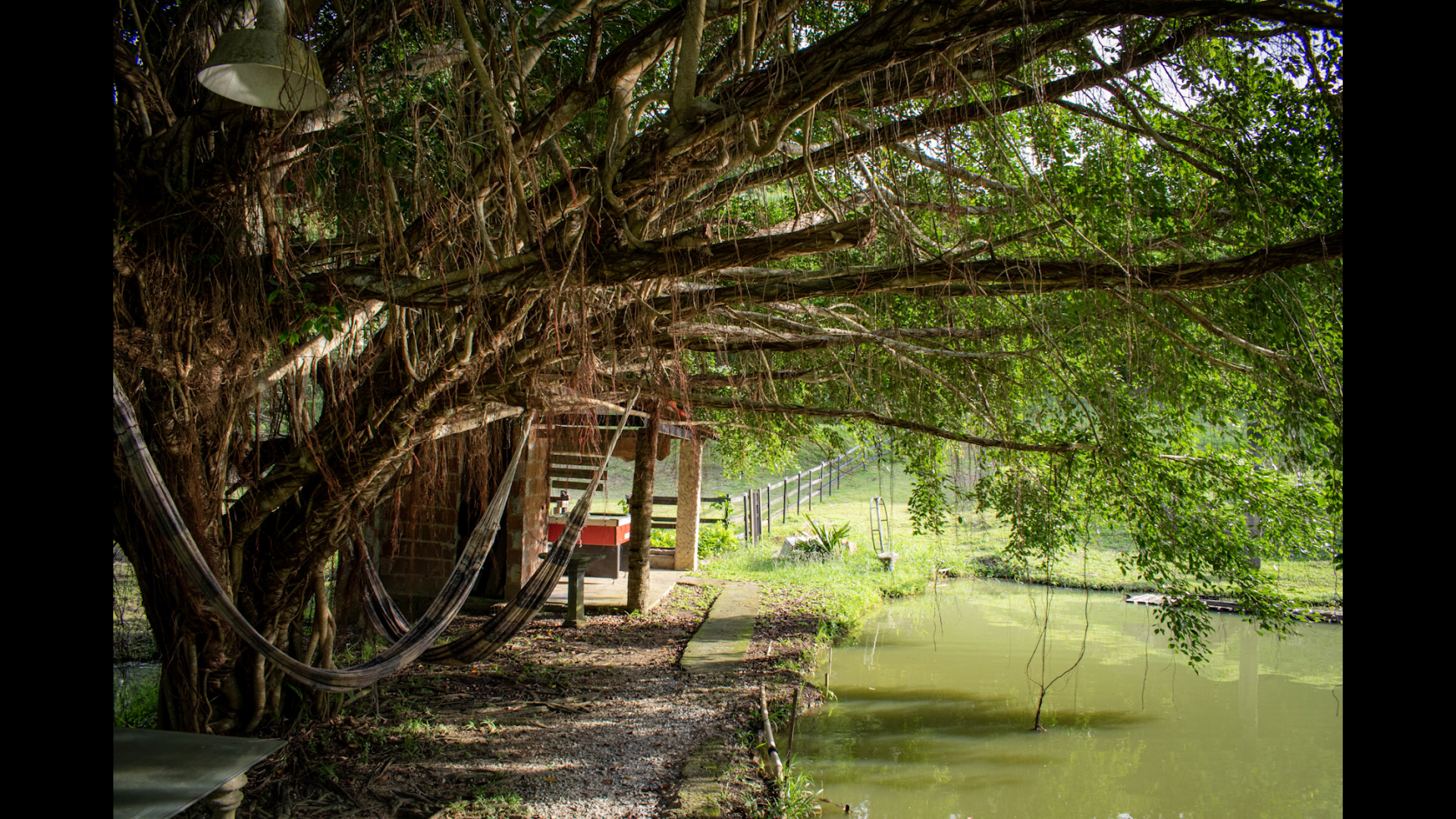 Eco Camping Jussaral - Image 3