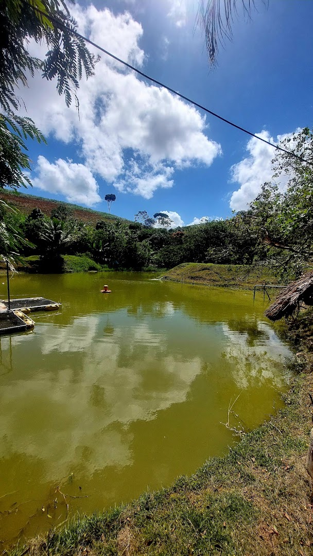 Eco Camping Jussaral - Image 4