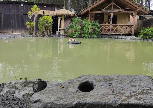 Camping Opa e Nona - Image 2