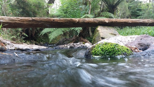 Terra Da Lua - Image 2