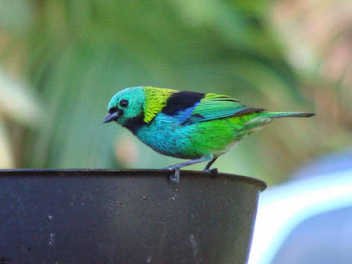 Pousada e Camping Flor da Serra - Image 3