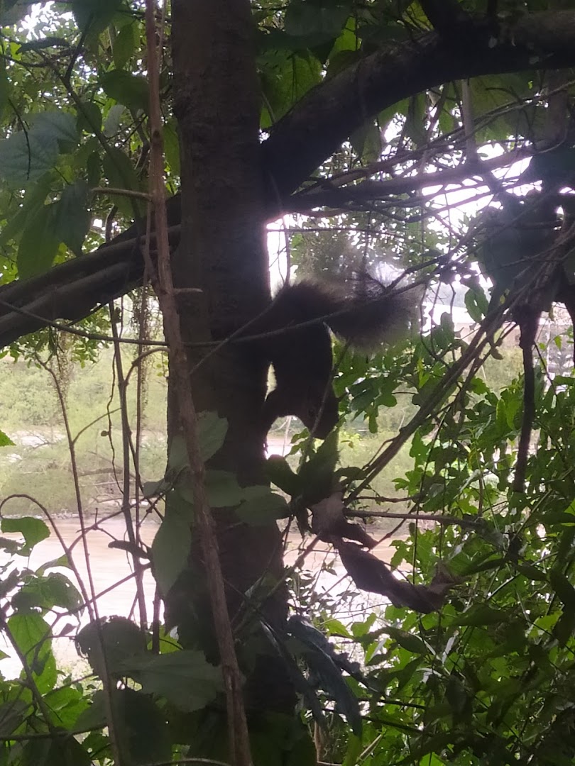 Camping Parque Spitzkopf - Image 2