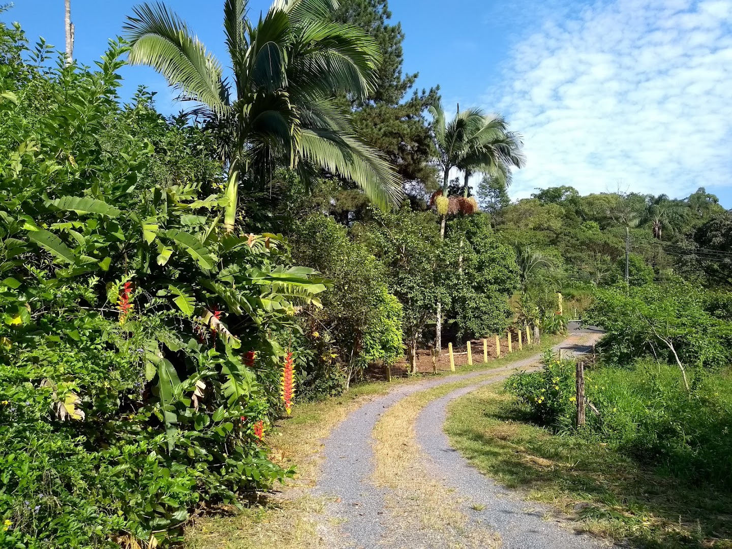 Camping Parque Spitzkopf - Image 5