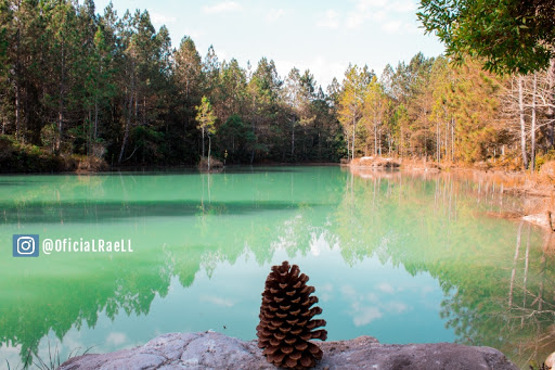 Camping Verde Perto - Main Image