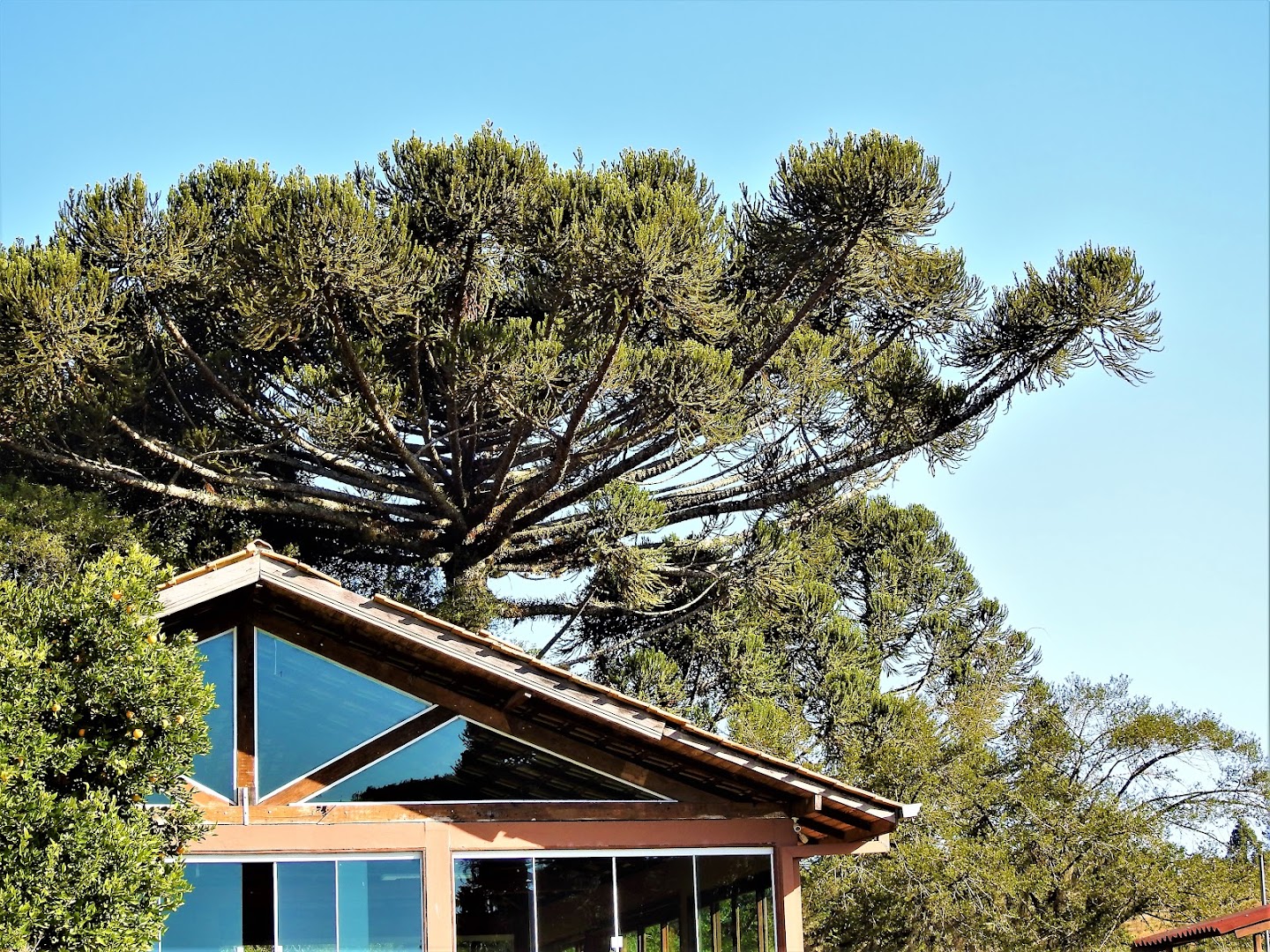 Pousada Cristal do Horizonte - Image 4