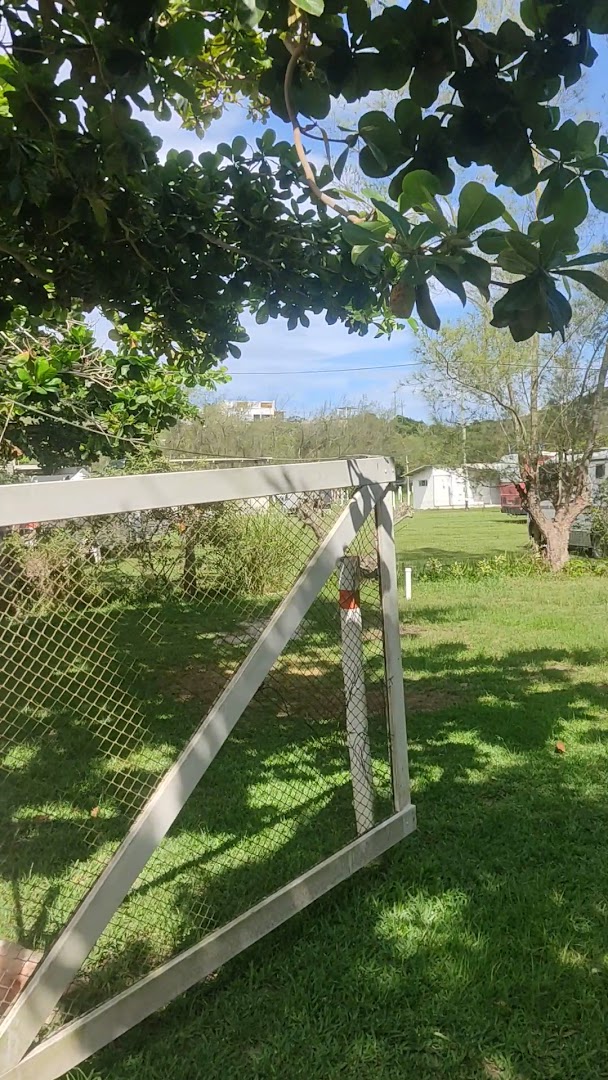 Camping Casa da Figueira – Quintal dos Amigos - Image 2