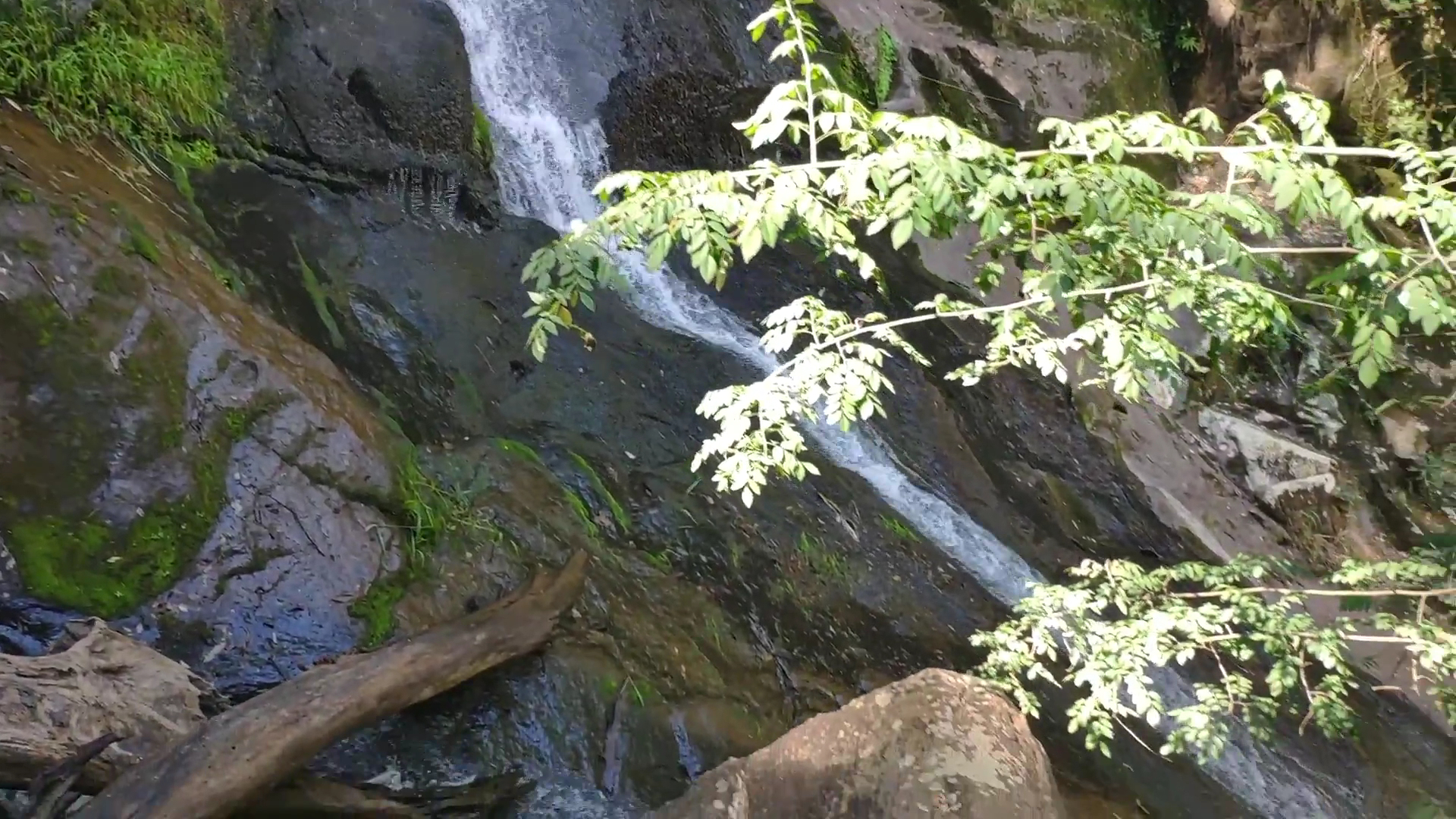 Camping Cascata’s Manella - Image 2