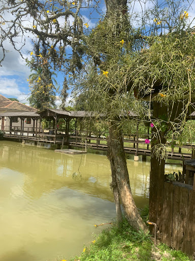 Camping Pomerode - Image 3