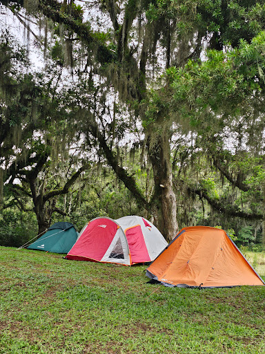 Ponte Velha Pesca e Lazer - Image 2