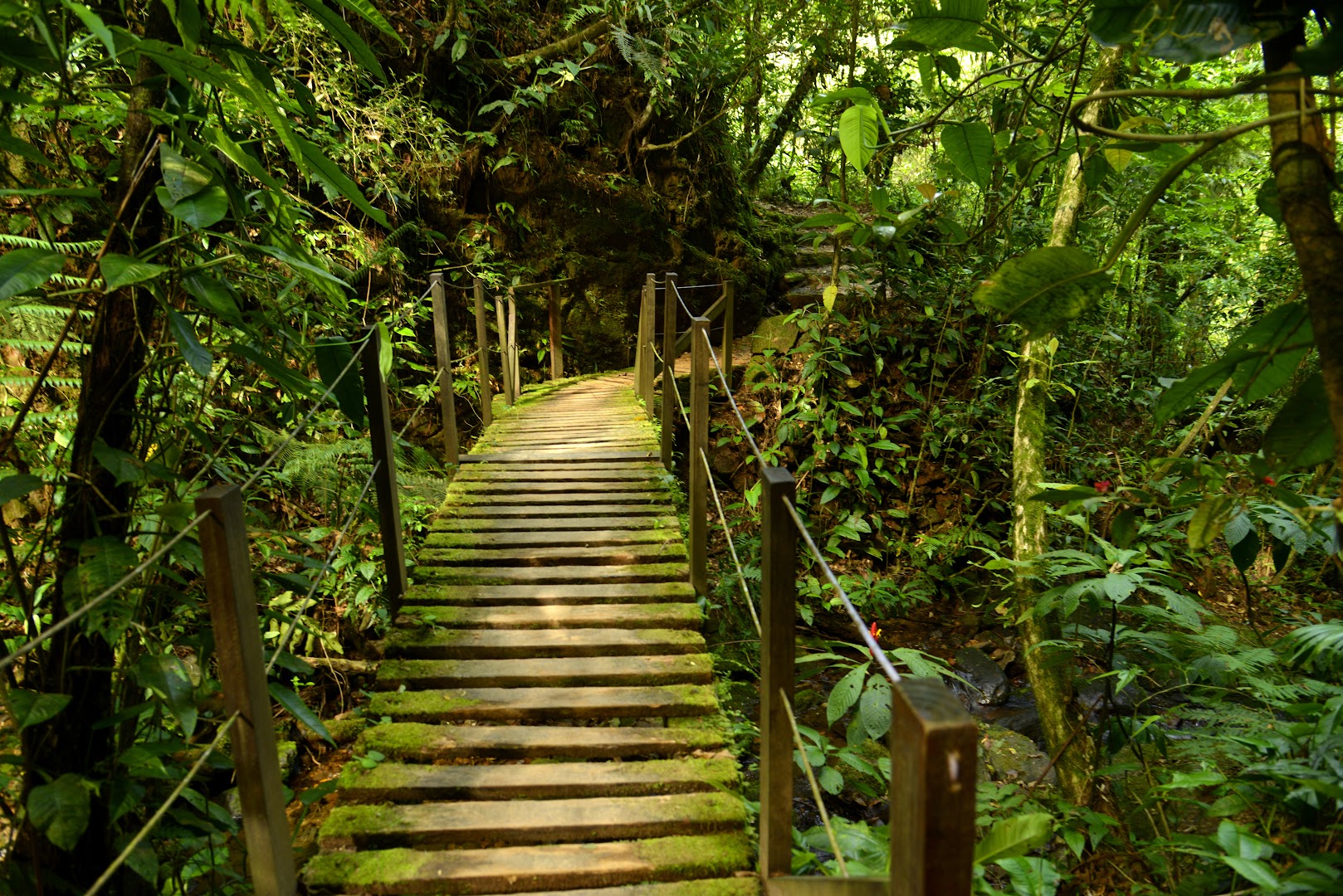 Reserva Natural Salto Morato - Image 3