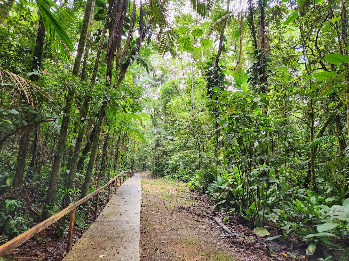 Reserva Natural Salto Morato - Image 5