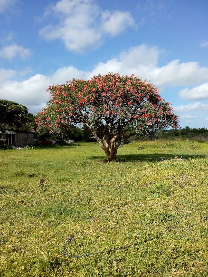 Camping do Negrinho - Image 5