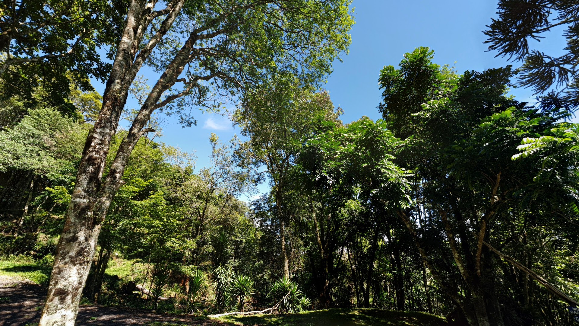 Área de Lazer Cobra d'Água - Image 5