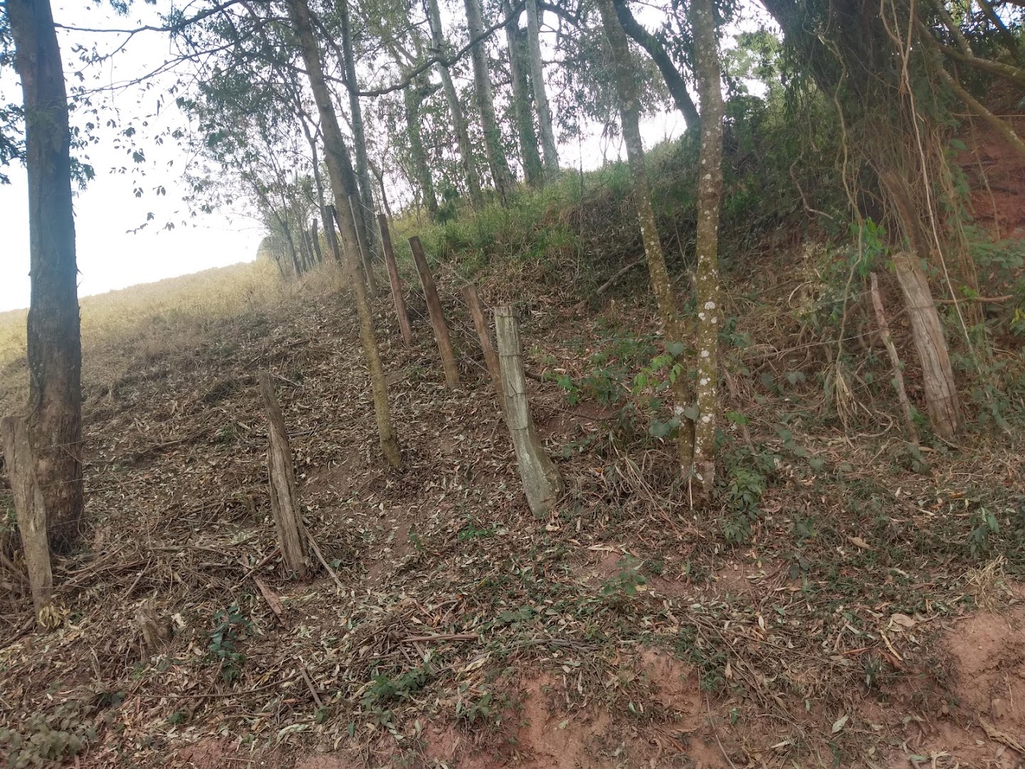 CACHOEIRA DOS CIGANOS - Image 2