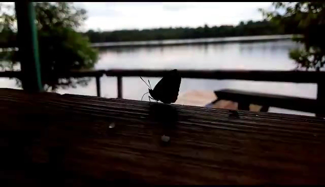 Balneário Wesling - Image 2