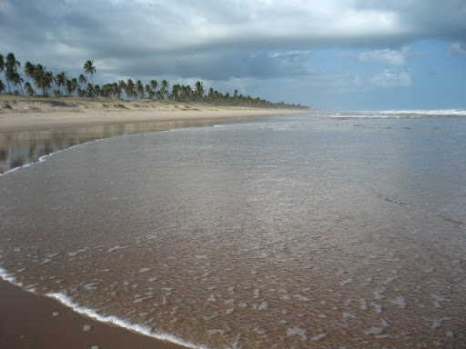 Camping Praia dos Coqueiros - Image 3