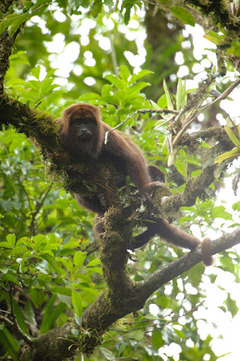 Camping Parque do Zizo - Image 2