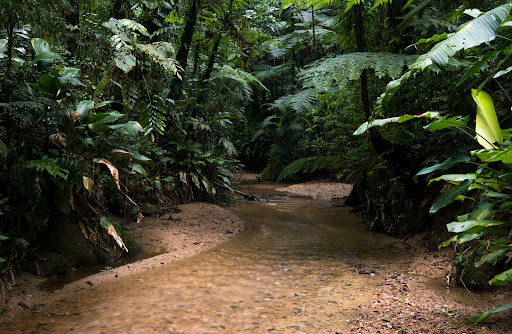 Camping Parque do Zizo - Image 3
