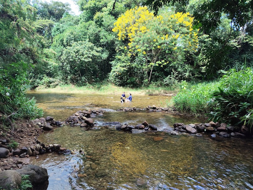 Churrasqueiras No Rio Do Nunes - Main Image