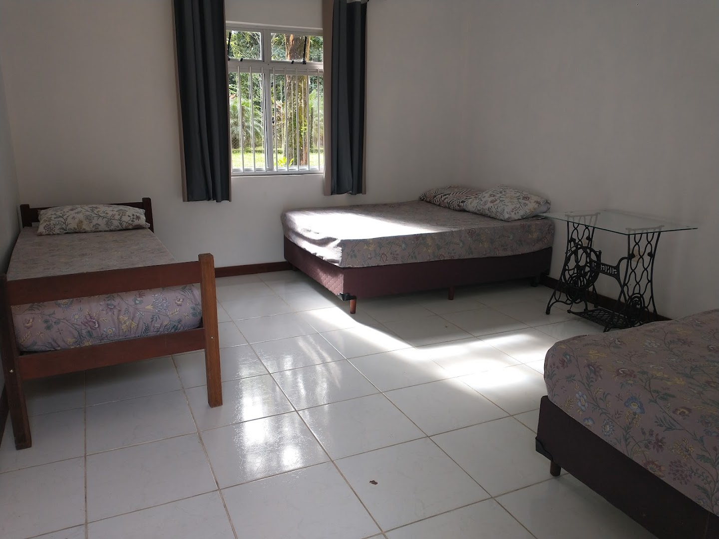 Espaço Ecológico João Mineiro Morretes - Image 3