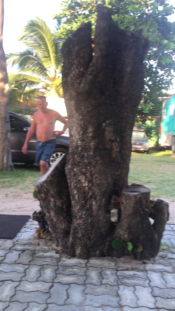 Camping Pousada Praia das Neves - Image 2