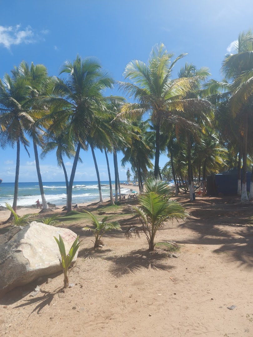 Camping Pousada Praia das Neves - Image 4