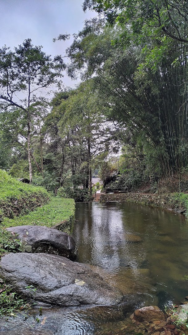 Camping Instituto Araticum - Image 3