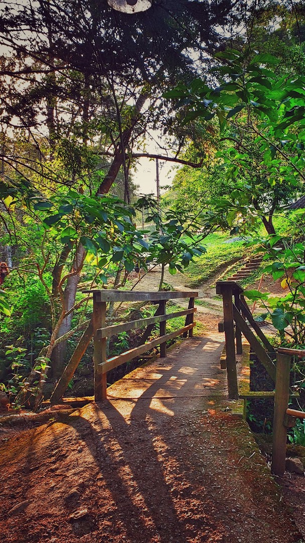 Camping Instituto Araticum - Image 4