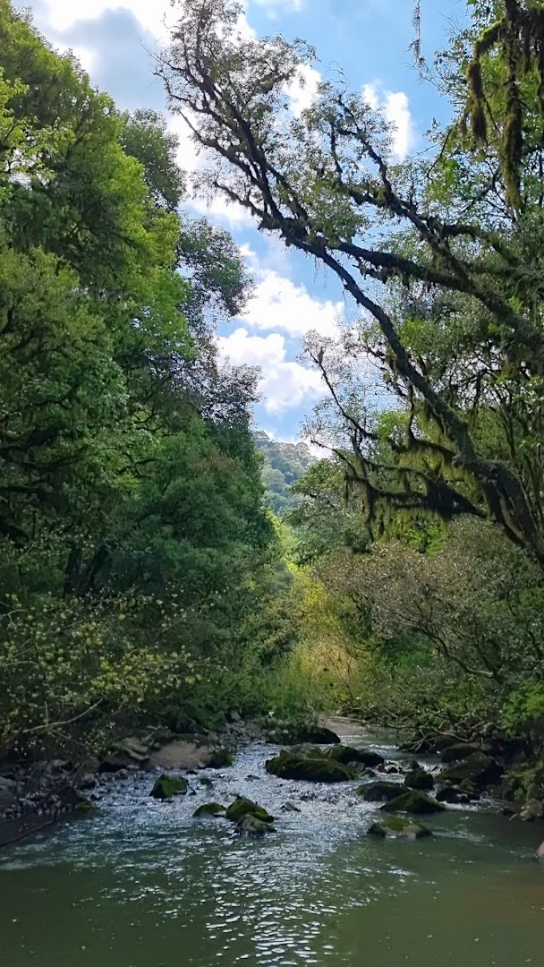 Camping Balneário Coqueiros e Cascatas - Image 2