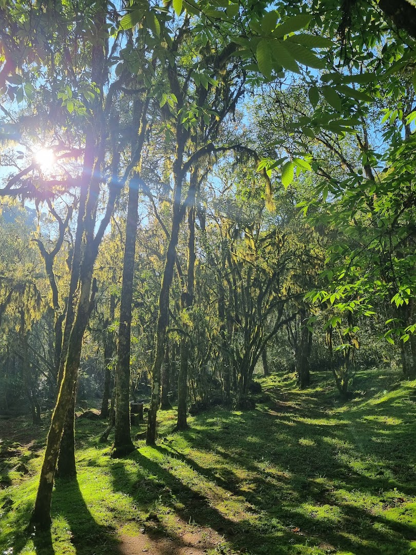 Camping Balneário Coqueiros e Cascatas - Image 3