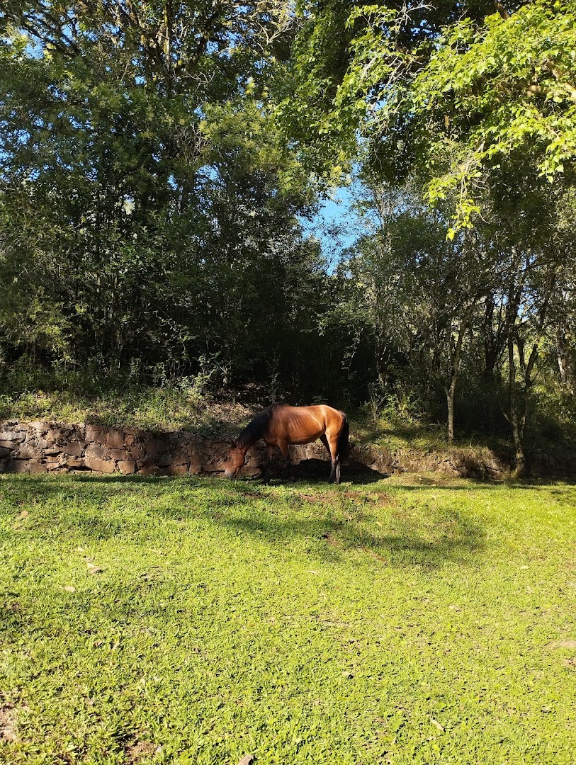 Camping Balneário Coqueiros e Cascatas - Image 4
