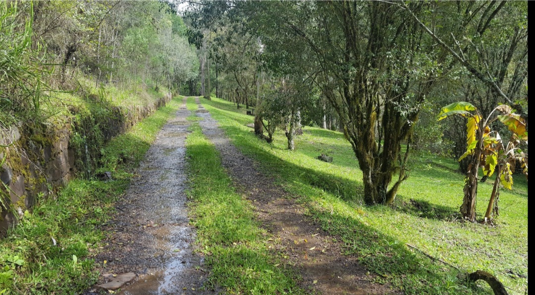 Camping Balneário Coqueiros e Cascatas - Image 5