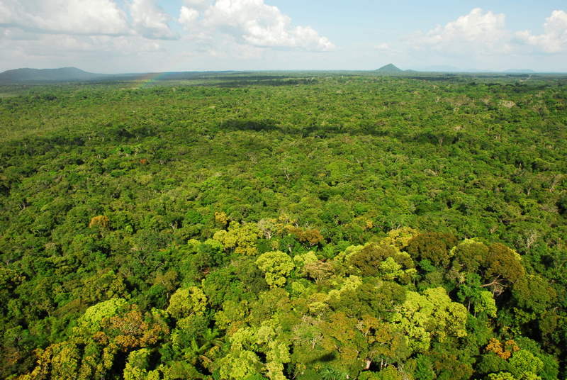 Camping – Parque Nacional do Viruá - Main Image