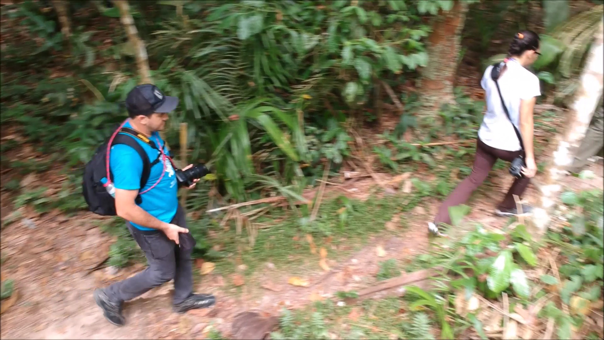Camping – Parque Nacional do Viruá - Image 2