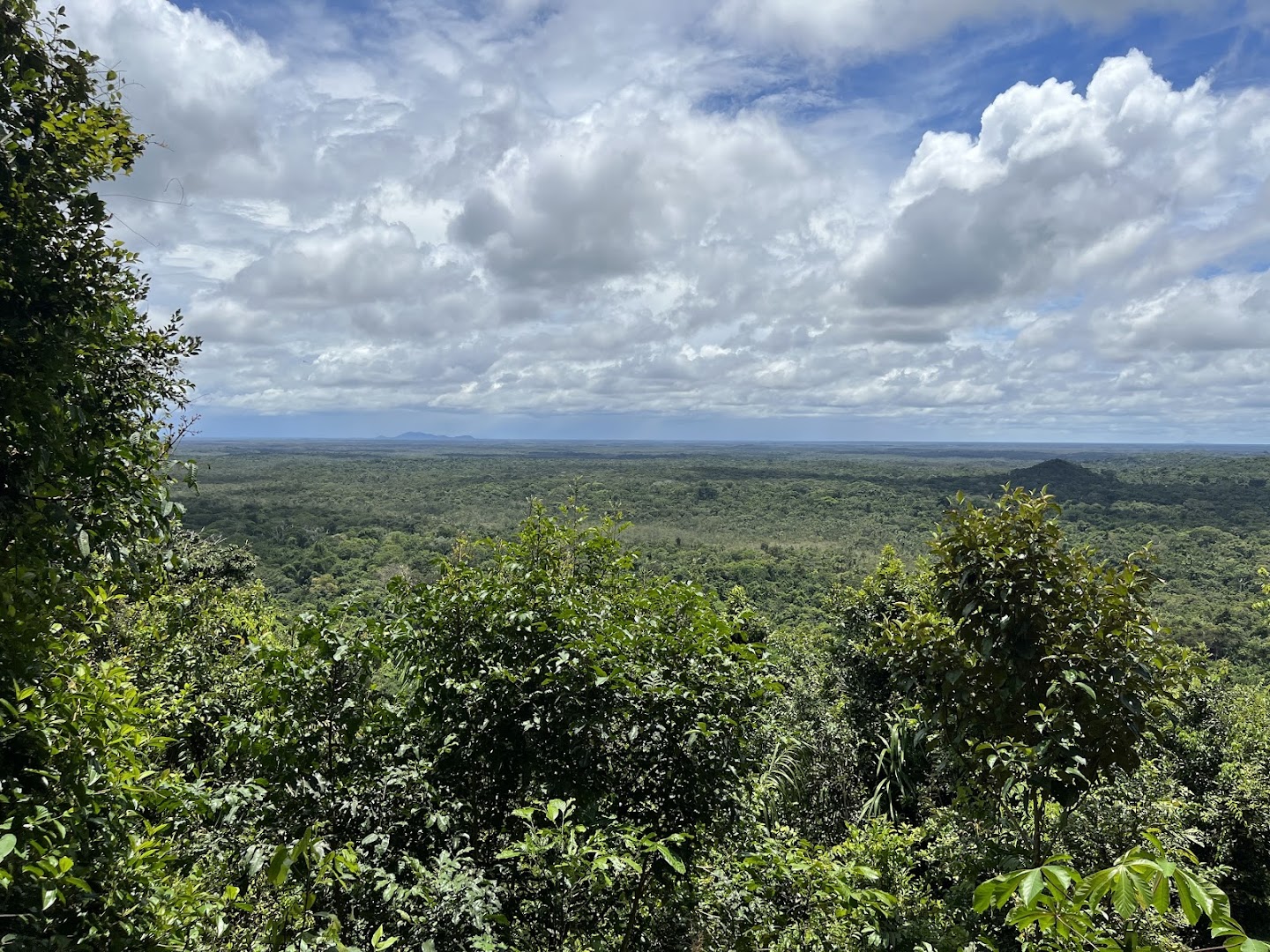 Camping – Parque Nacional do Viruá - Image 3