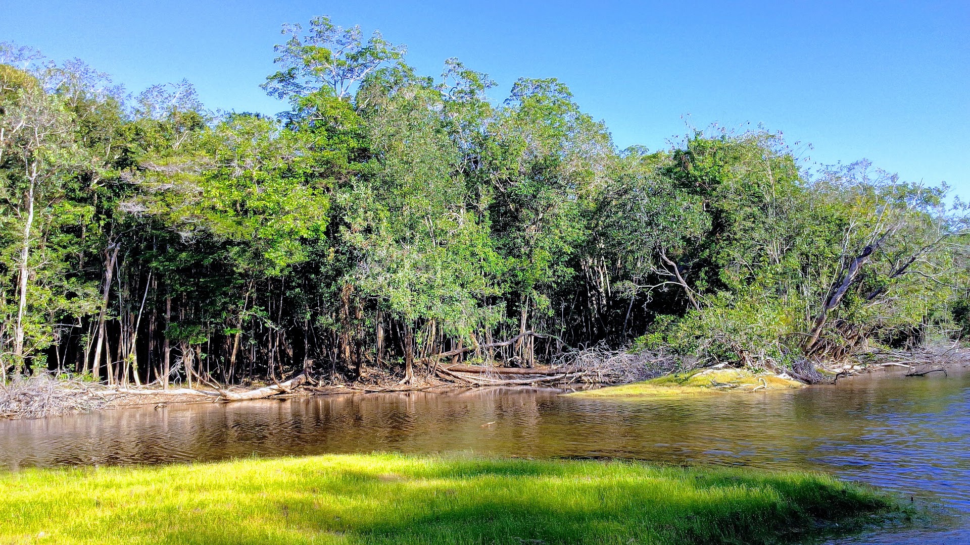 Camping – Parque Nacional do Viruá - Image 4