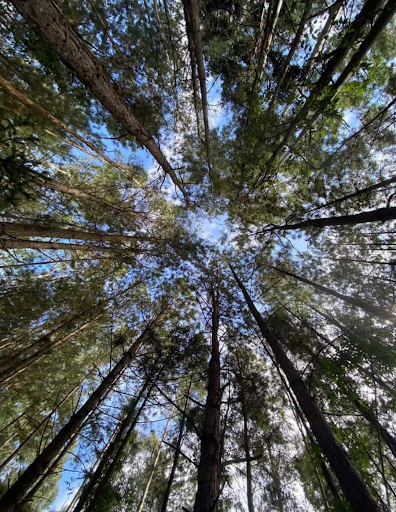 Recanto Passo do Leão - Image 3