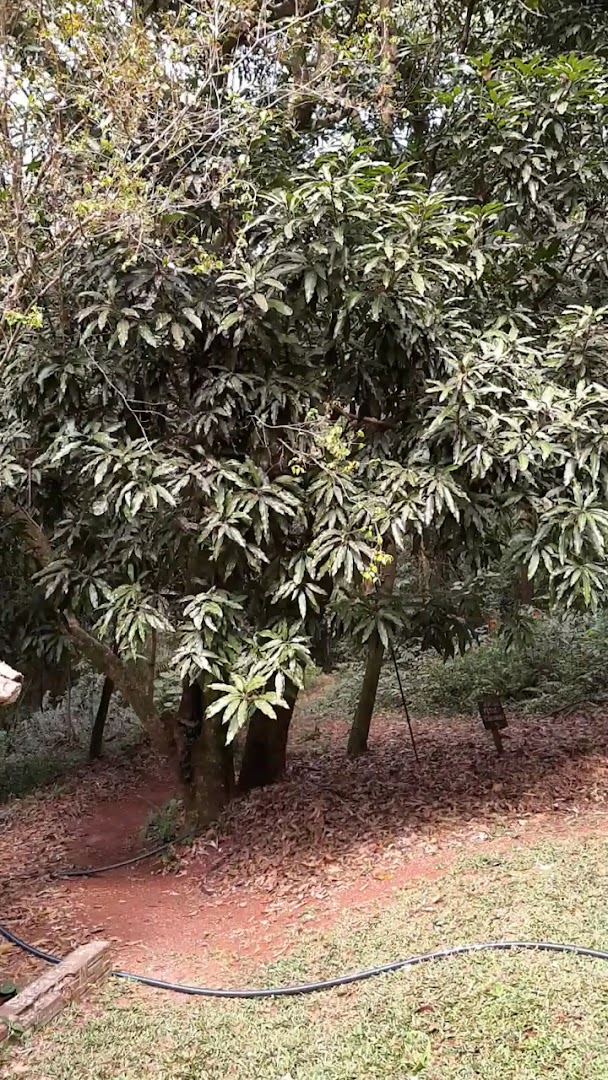 Pousada Marabú - Image 2