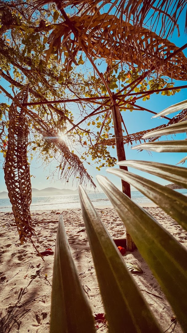 Camping do Snoopy - Image 5