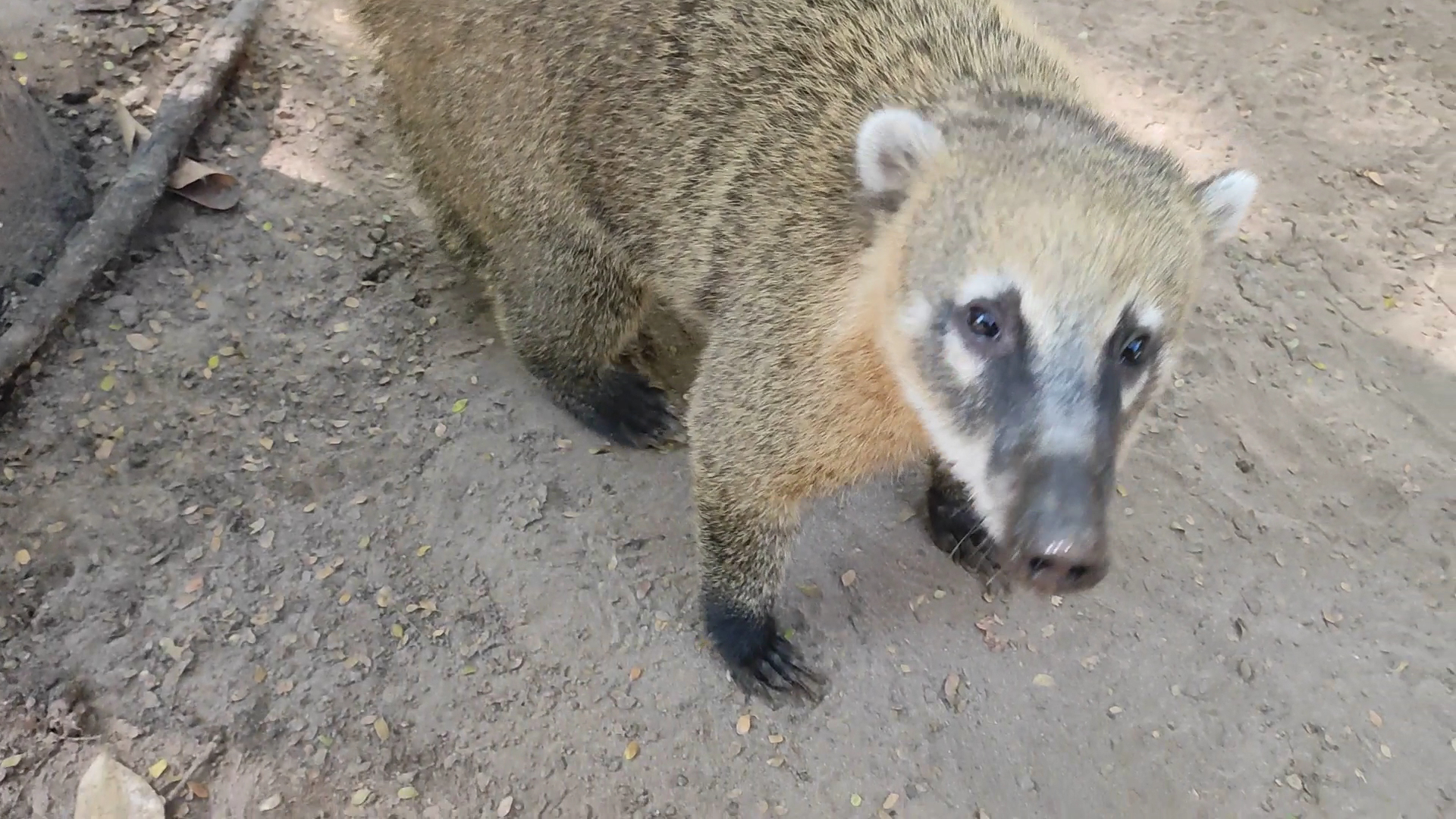 Camping Arizona - Image 2