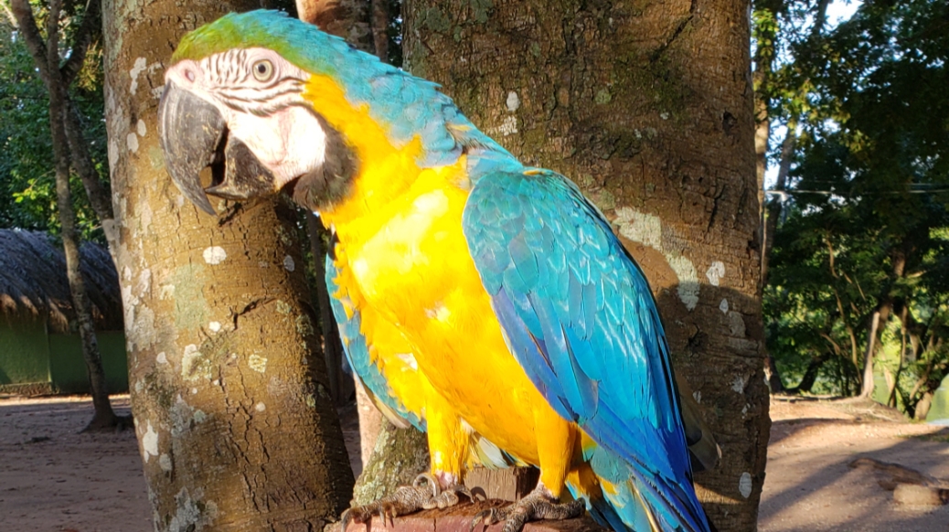 Camping Arizona - Image 5