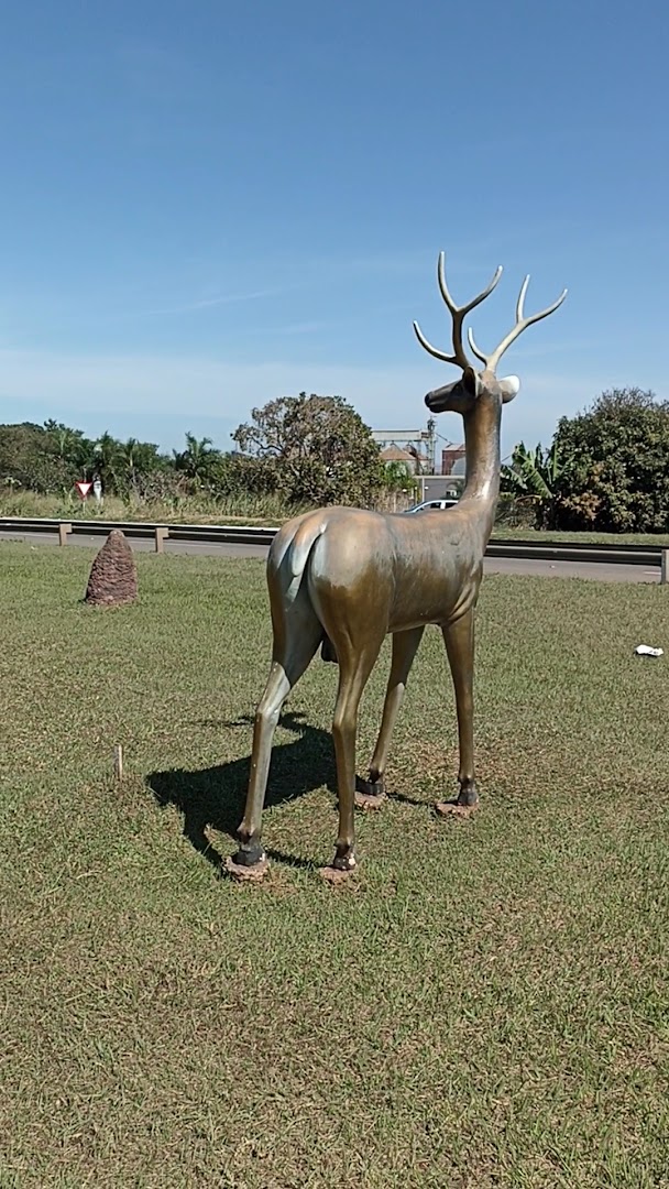 Camping Parque Nacional das Emas - Image 2