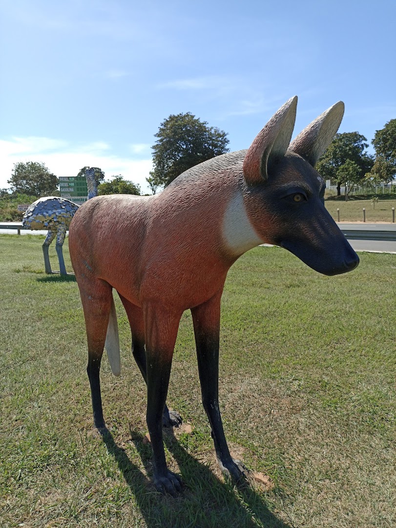 Camping Parque Nacional das Emas - Image 3