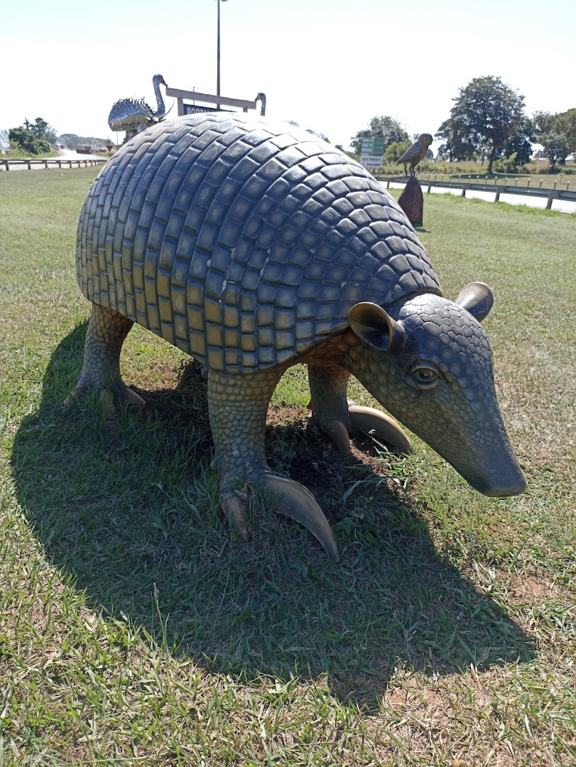 Camping Parque Nacional das Emas - Image 4