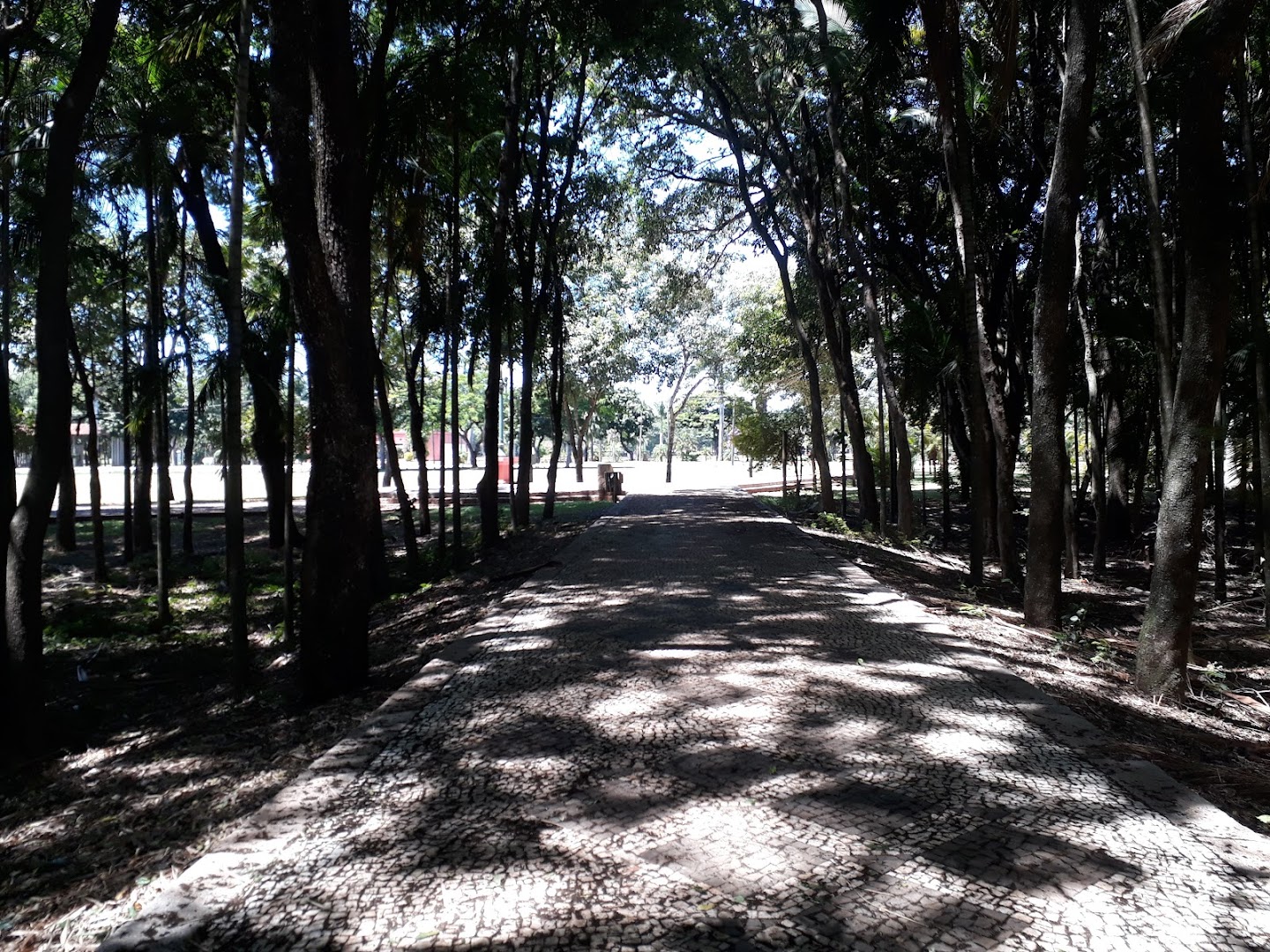 Recanto Morada do Sol, Paz e Bem - Image 4