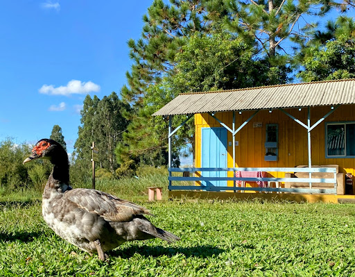 CHÁCARA POTREIRO DAS ÉGUAS ️ - Main Image