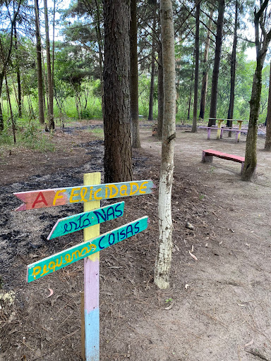 CHÁCARA POTREIRO DAS ÉGUAS ️ - Image 3