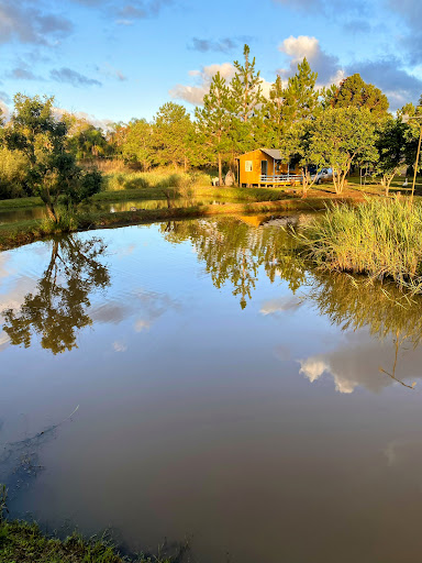 CHÁCARA POTREIRO DAS ÉGUAS ️ - Image 4